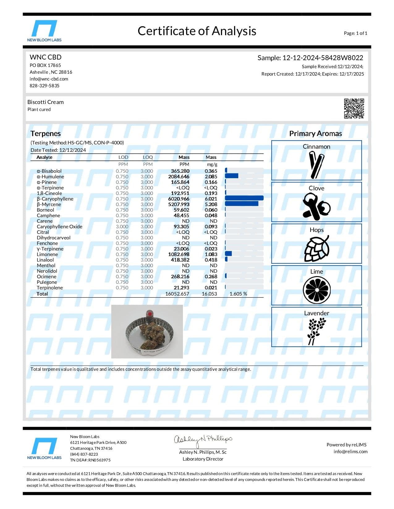 Gift Guru WNC CBD High THCA Indoor Living Soil Flower | 3.5g