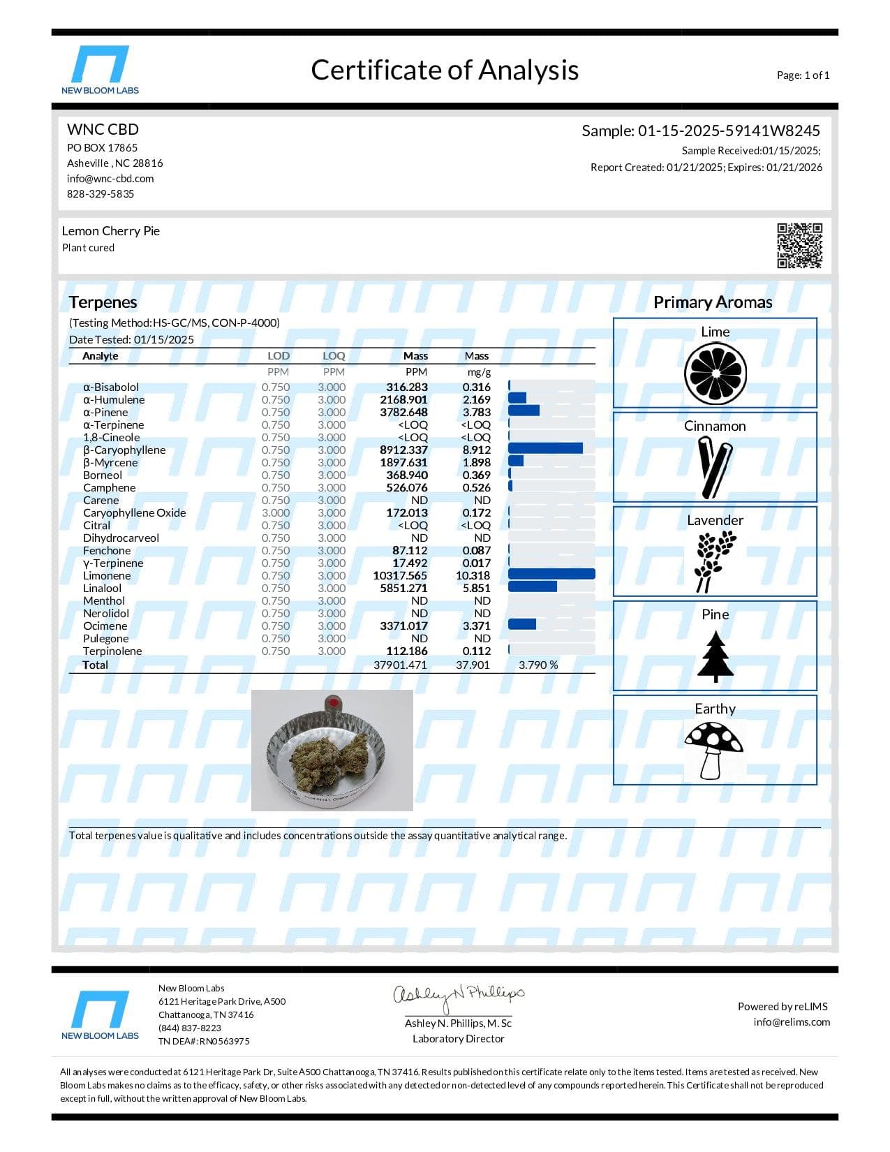 Gift Guru WNC CBD High THCA Indoor Living Soil Flower | 3.5g