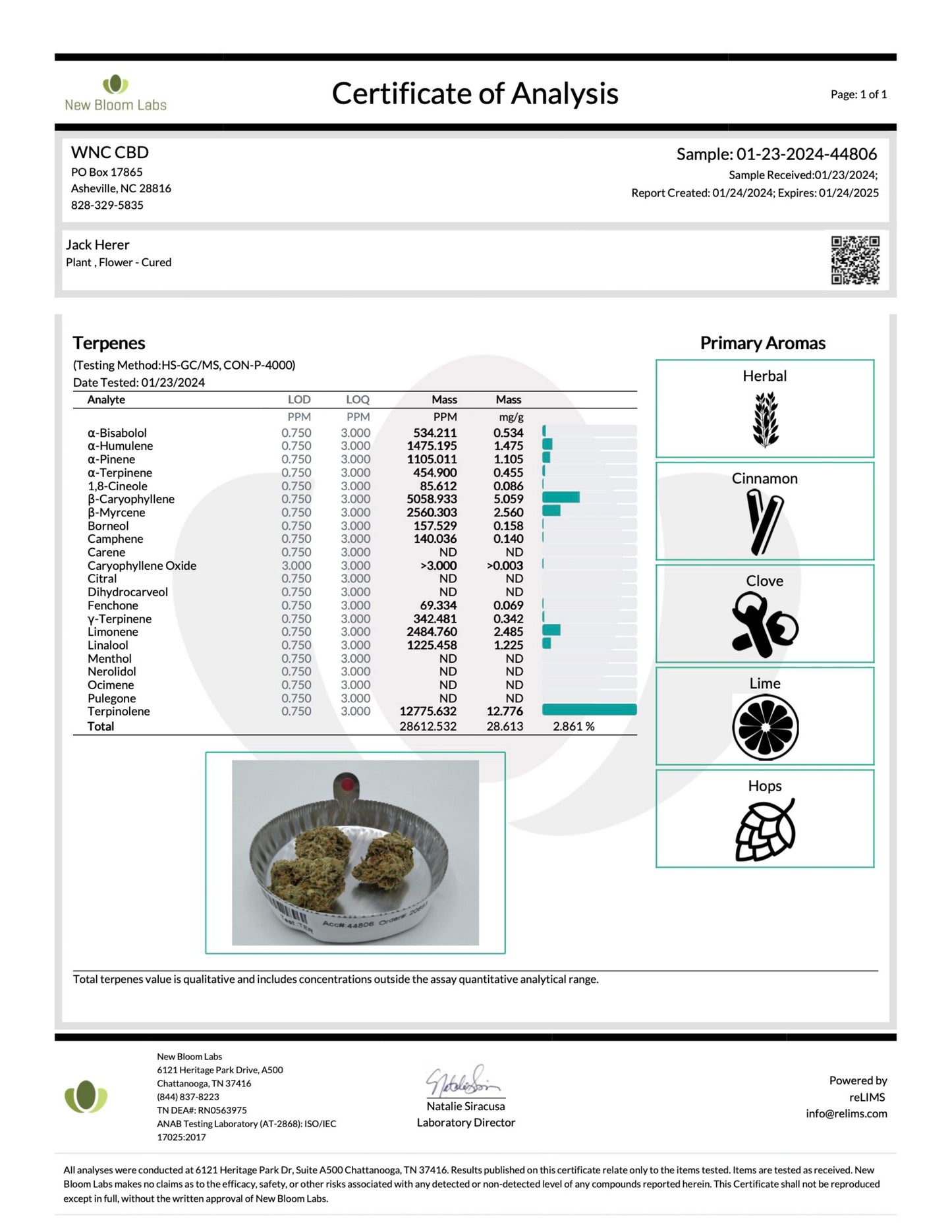 Gift Guru WNC CBD High THCA Indoor Living Soil Flower | 3.5g