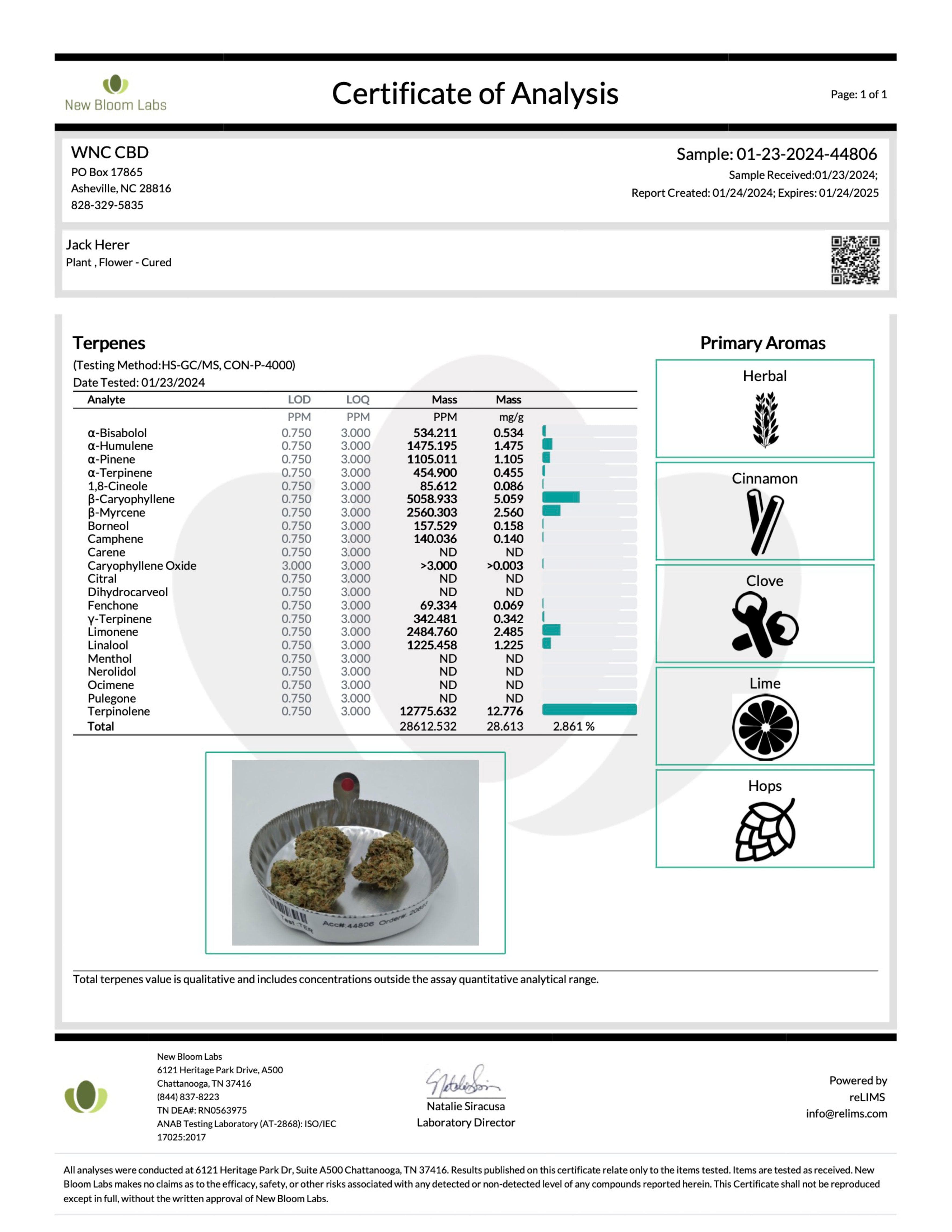 Gift Guru WNC CBD High THCA Indoor Living Soil Flower | 3.5g