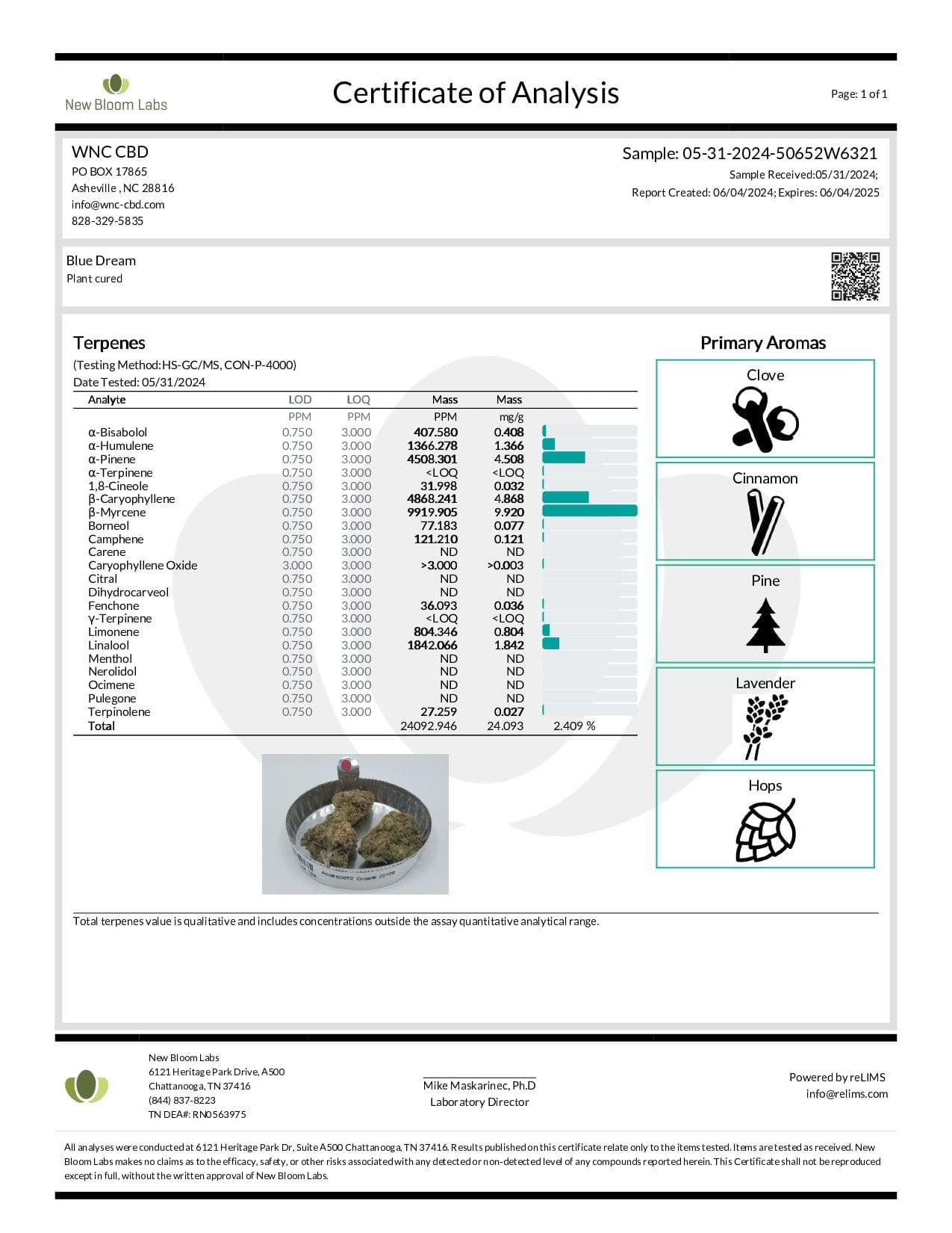 Gift Guru WNC CBD High THCA Indoor Living Soil Flower | 3.5g