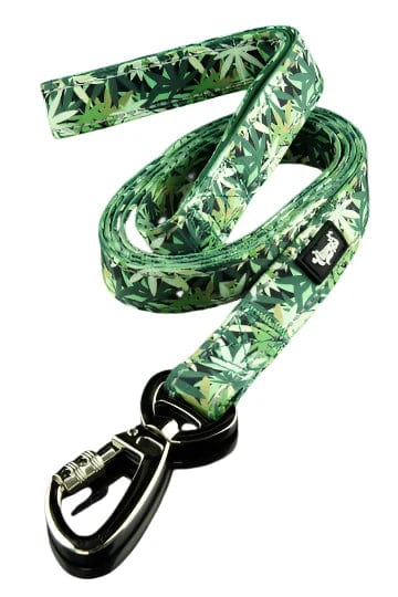 A close-up, angled view of the 6' Dog Leash, showing its patterned fabric and metal clip against a plain white background.