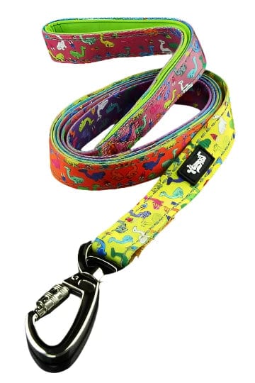 A close-up, angled view of the 6' Dog Leash, showcasing its colorful patterned design as it curves across a neutral background.