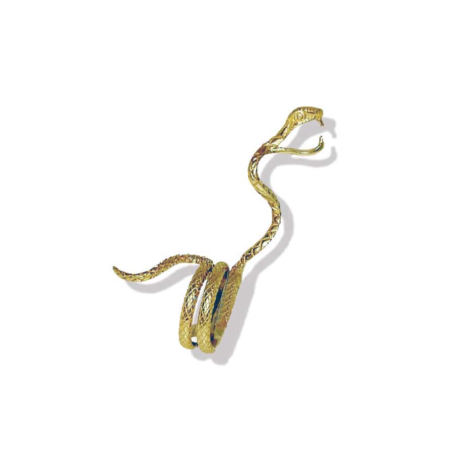 A slightly angled overhead shot of the Snake in the Grass Joint Holder Ring, showcasing its circular design on a white background.