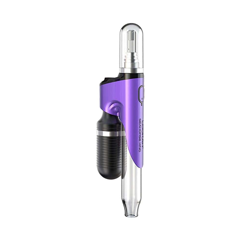 A close-up of the Seahorse King Electric Dab Pen, showing its sleek, metallic silver body angled against a plain white background.
