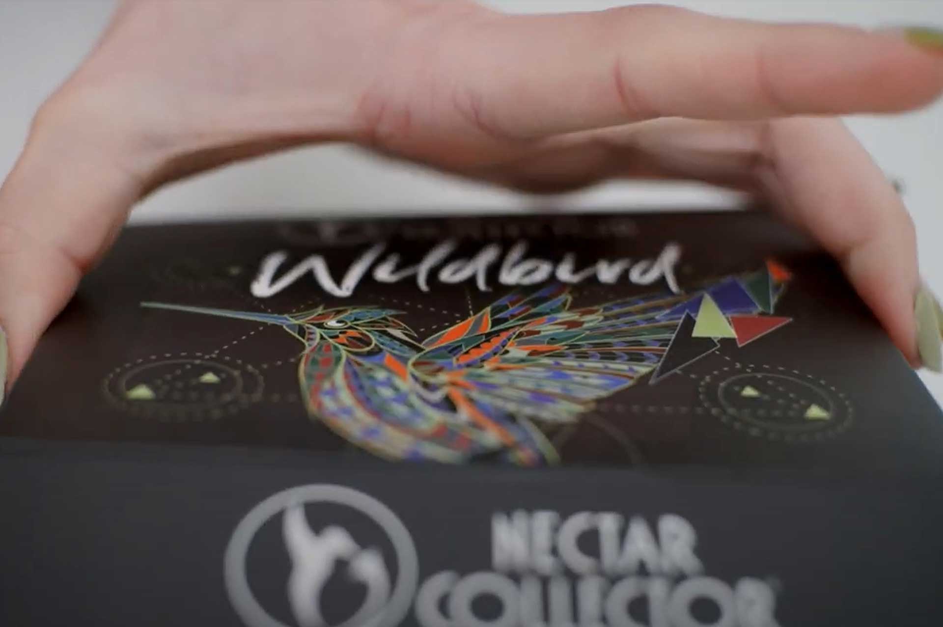 Close-up perspective of a hand hovering over the colorful hummingbird-illustrated box of the Nectar Collector Wildbird Kit.