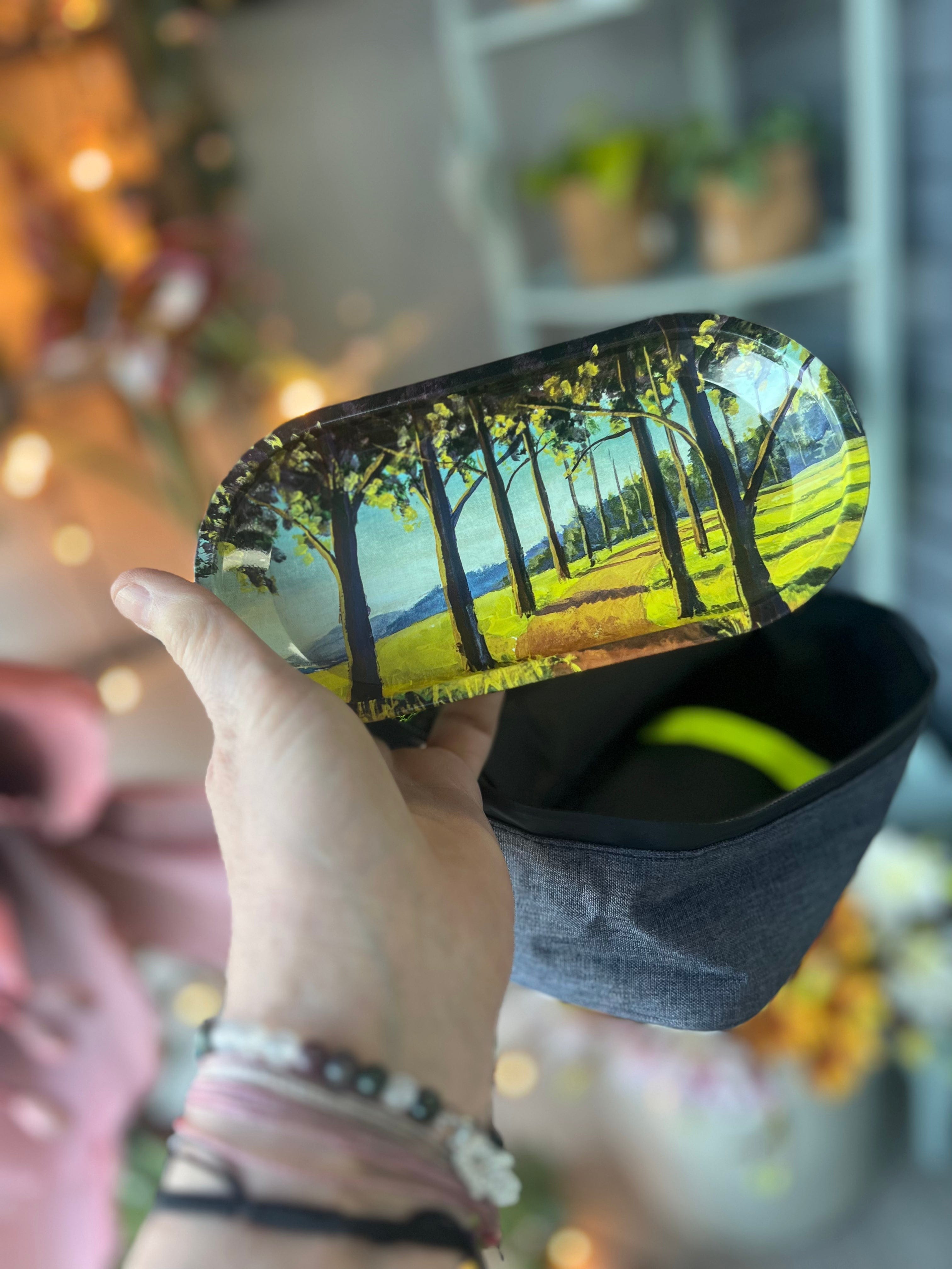 A hand holds the dark gray Travel Odor Proof Case, angled slightly against a blurred, colorful background.