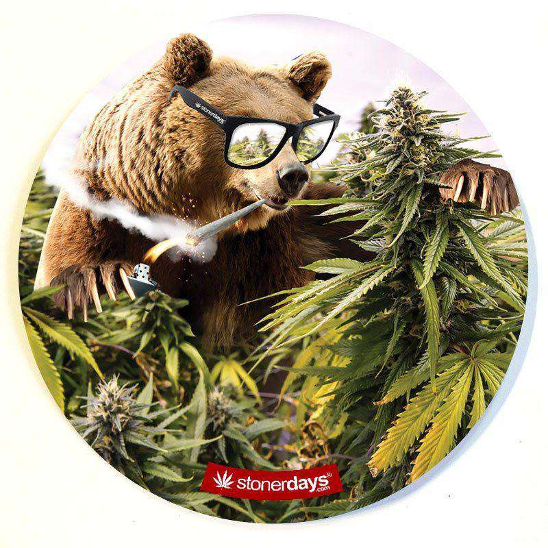 A playful close-up of a bear wearing sunglasses, showcasing the colorful Stonerdays Round Dab Mats as a vibrant backdrop.