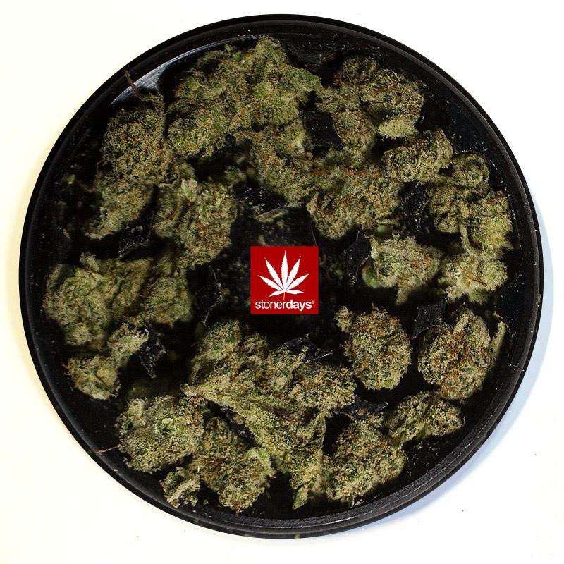 Overhead view of the Stonerdays Round Dab Mats with a speckled pattern and reflective surface against a plain white background.
