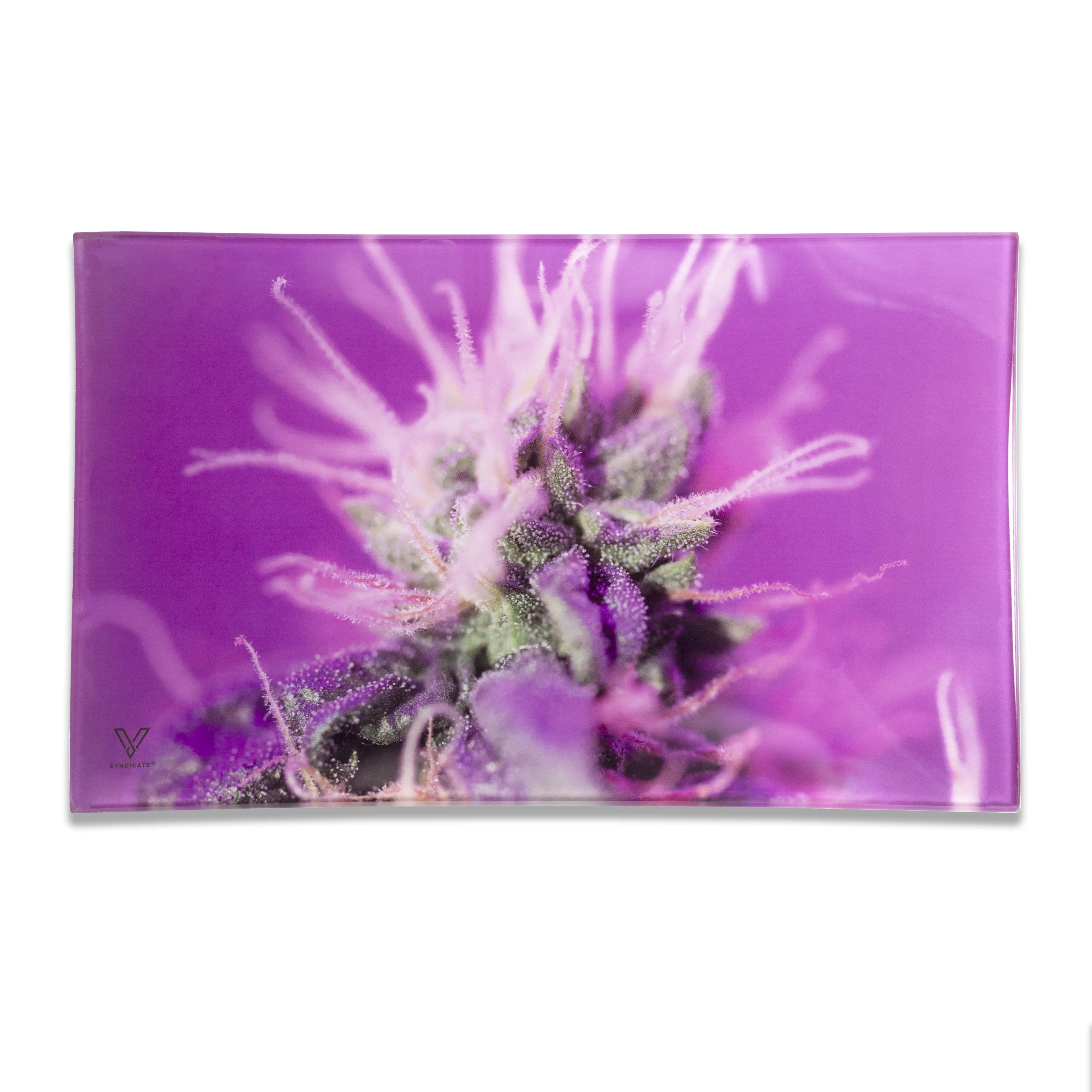 A close-up, eye-level view of the V-Syndicate Glass Rolling Trays featuring a vibrant purple floral design.