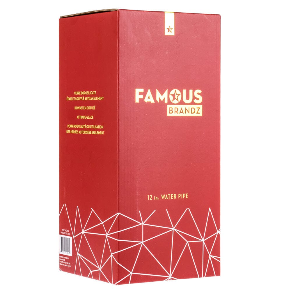 Three-quarter front view of the red Famous Design Space Bong - 12 in. box with gold logo and white geometric line pattern at the base
