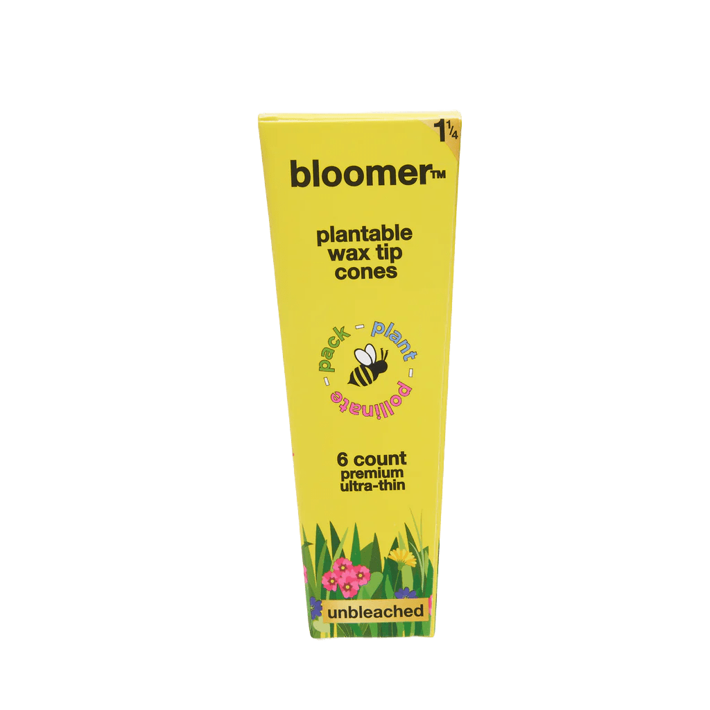 bloomer biodegradables bloomer™ 1-1/4 paper cones - unbleached