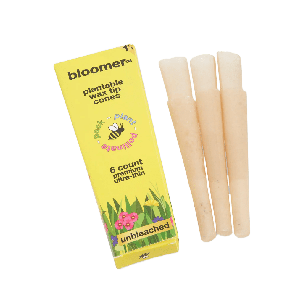 bloomer biodegradables bloomer™ 1-1/4 paper cones - unbleached