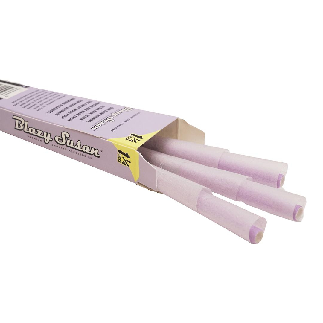 A close-up shot of Blazy Susan Purple Paper Cones arranged diagonally against a plain white background.
