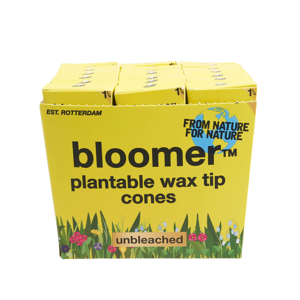 bloomer biodegradables bloomerâ„¢ 1-1/4 paper cones - unbleached