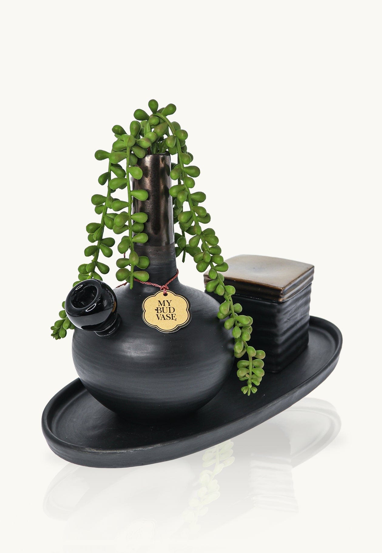 Angled close-up of the DeAngelo black ceramic vase with trailing green succulent stems and a small square dish on an oval tray.
