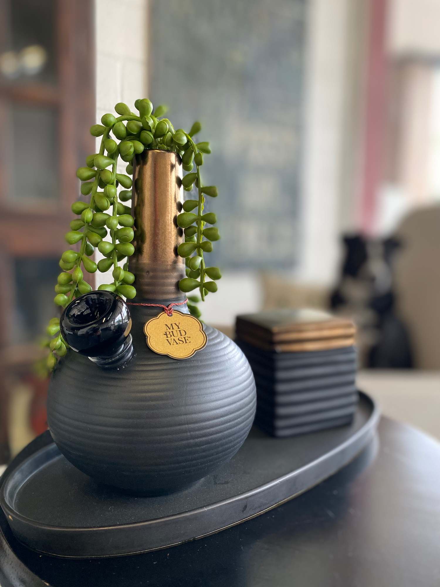 Close-up front view of the DeAngelo black ribbed vase with cascading green succulent stems and a brass neck tag.