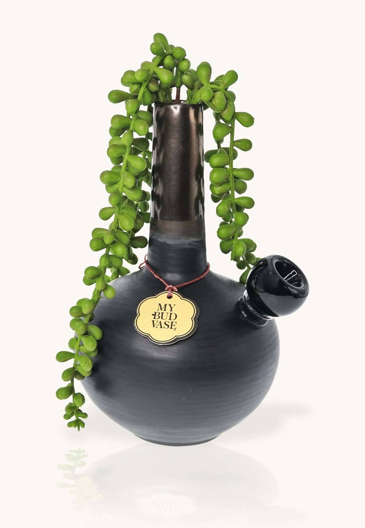 Center-front view of the black DeAngelo vase with trailing green succulent stems and a round "My Bud Vase" tag.