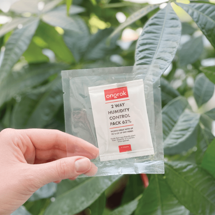 A close-up shot of the 2-Way 62% Humidity Packs held against a backdrop of lush green leaves, highlighting its simple packaging.