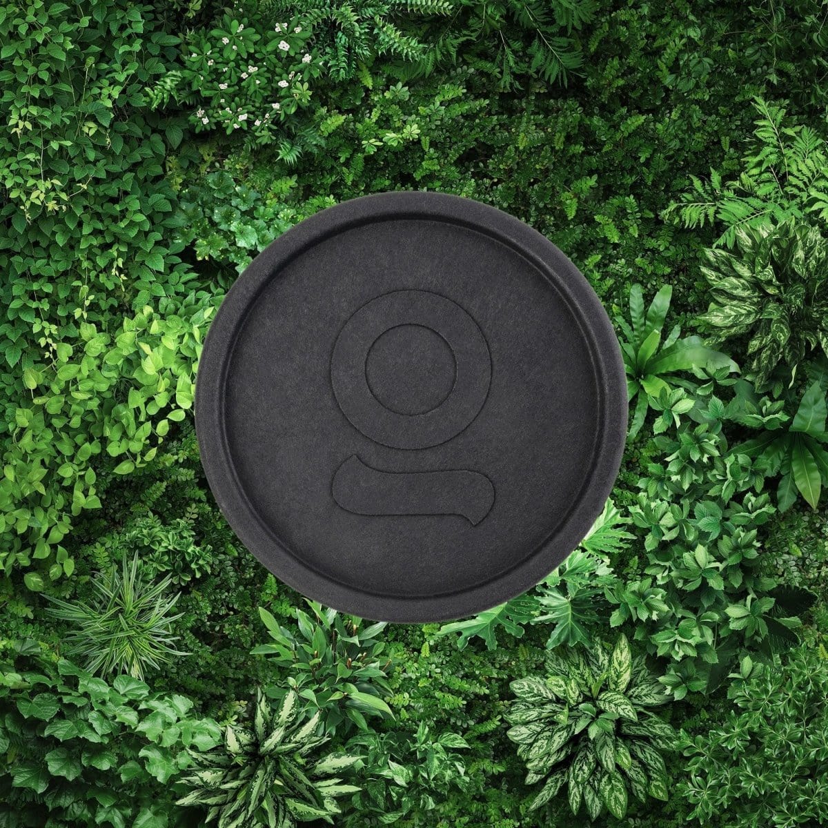 Overhead view of the Plant-Based Hemp Grinder against a lush green foliage background.