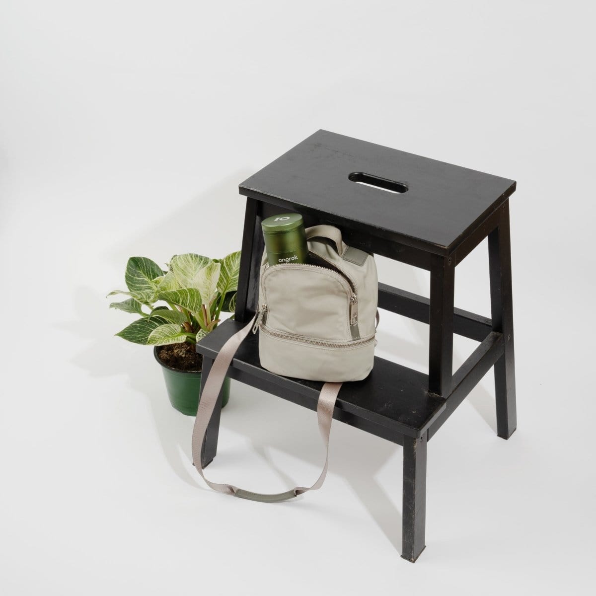 A high-angle view of the 5 Piece Storage Grinder on a wooden surface, next to a potted plant.